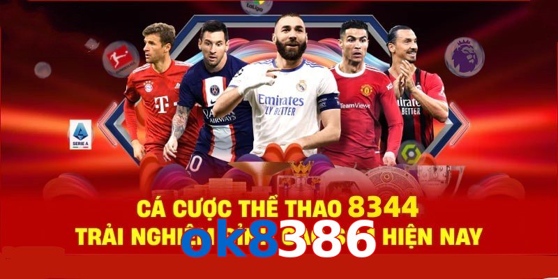 Đá Gà Philippines – Tinh Hoa Truyền Thống Và Thể Thao 